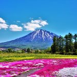 倶知安町_風景1